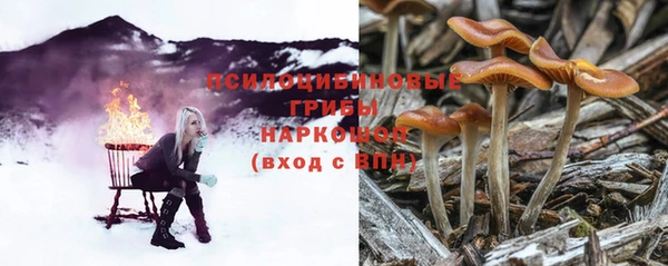 индика Нефтегорск