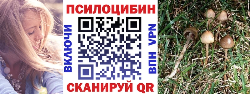 darknet состав  Великие Луки  Галлюциногенные грибы GOLDEN TEACHER 