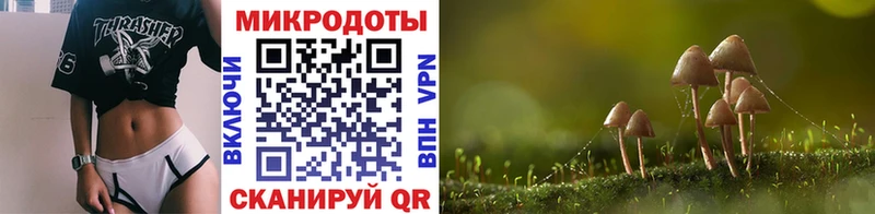Галлюциногенные грибы прущие грибы Великие Луки